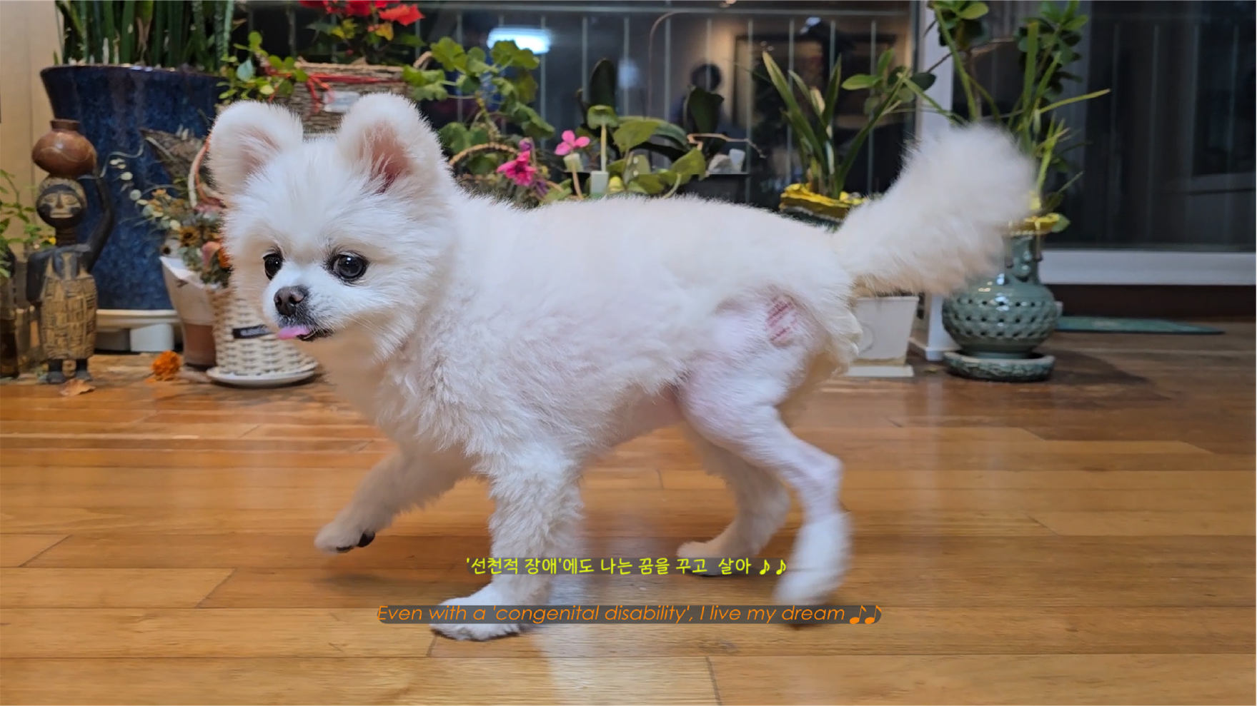 눈 가리고 멍멍 작품 스틸 2